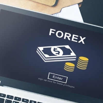 Sigma forex baroda sigma forex baroda